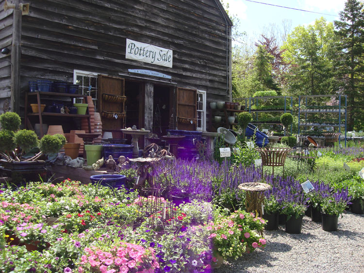 Caldwell Nursery West Caldwell Nj Photo Gallery