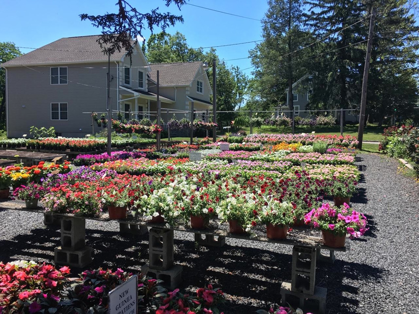 Caldwell Nursery West Caldwell Nj Photo Gallery